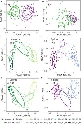 Manipulating atmospheric CO2 concentration induces shifts in wheat leaf and spike microbiomes and in Fusarium pathogen communities